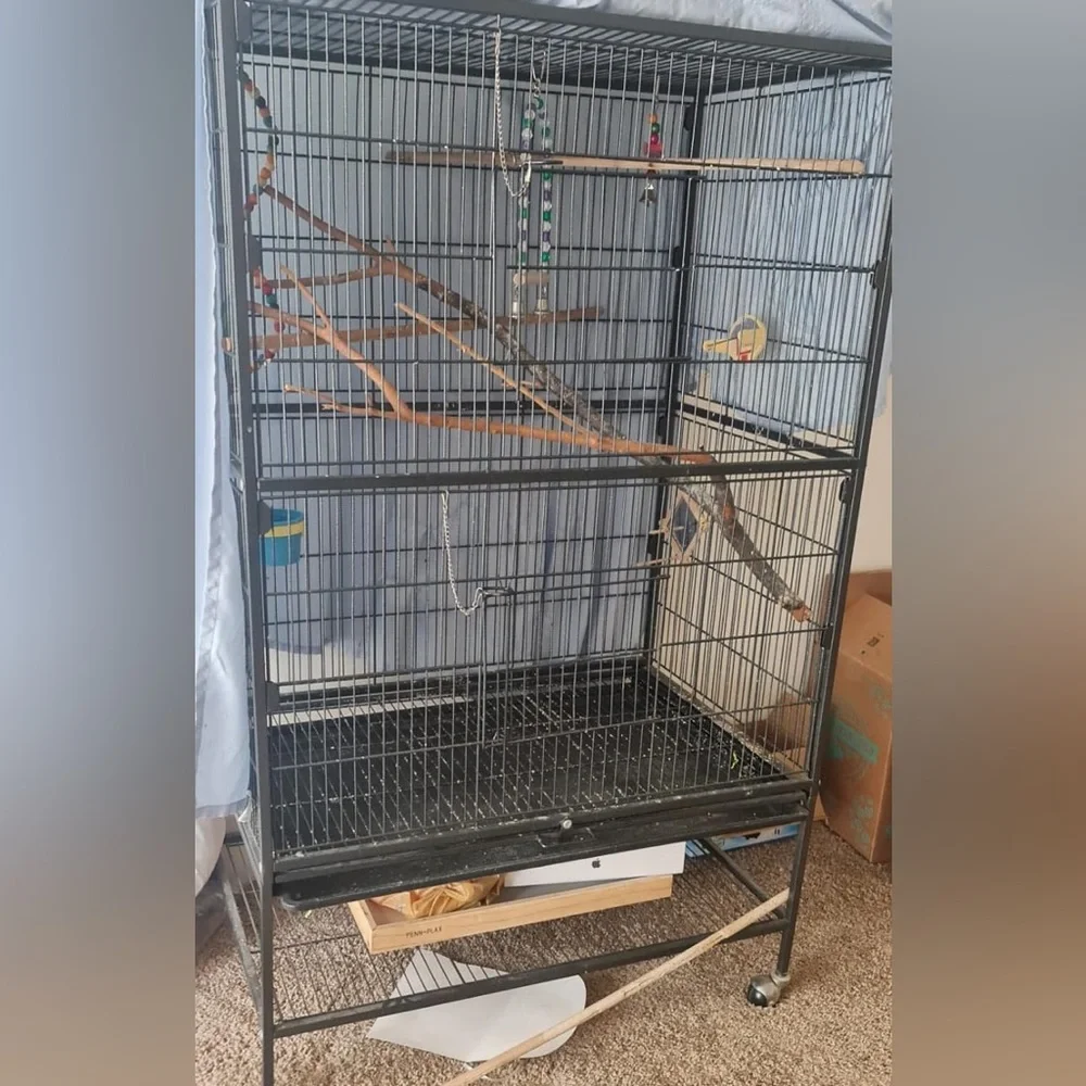 Bird Cage and Toys